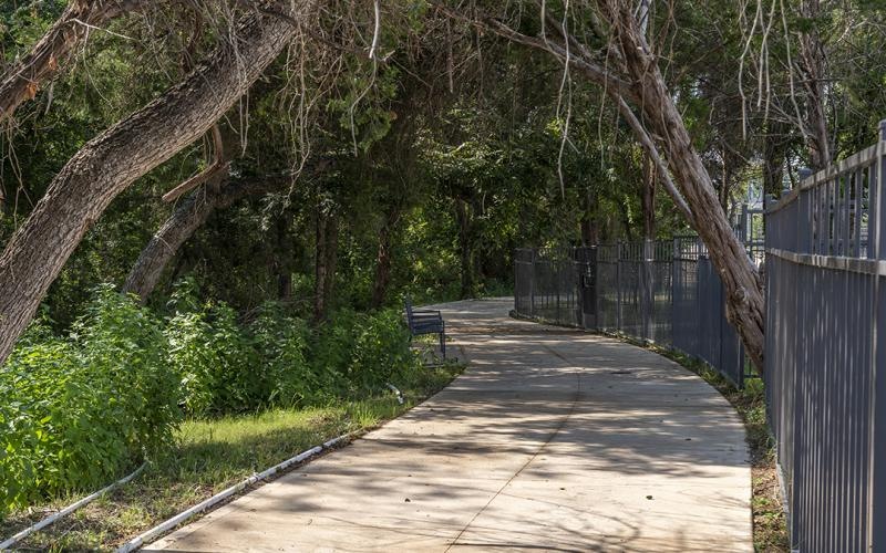 a wooden walkway through a forest